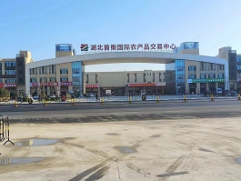 孝感首衡城智慧冷鏈物流A地塊、M地塊大門幕墻工程